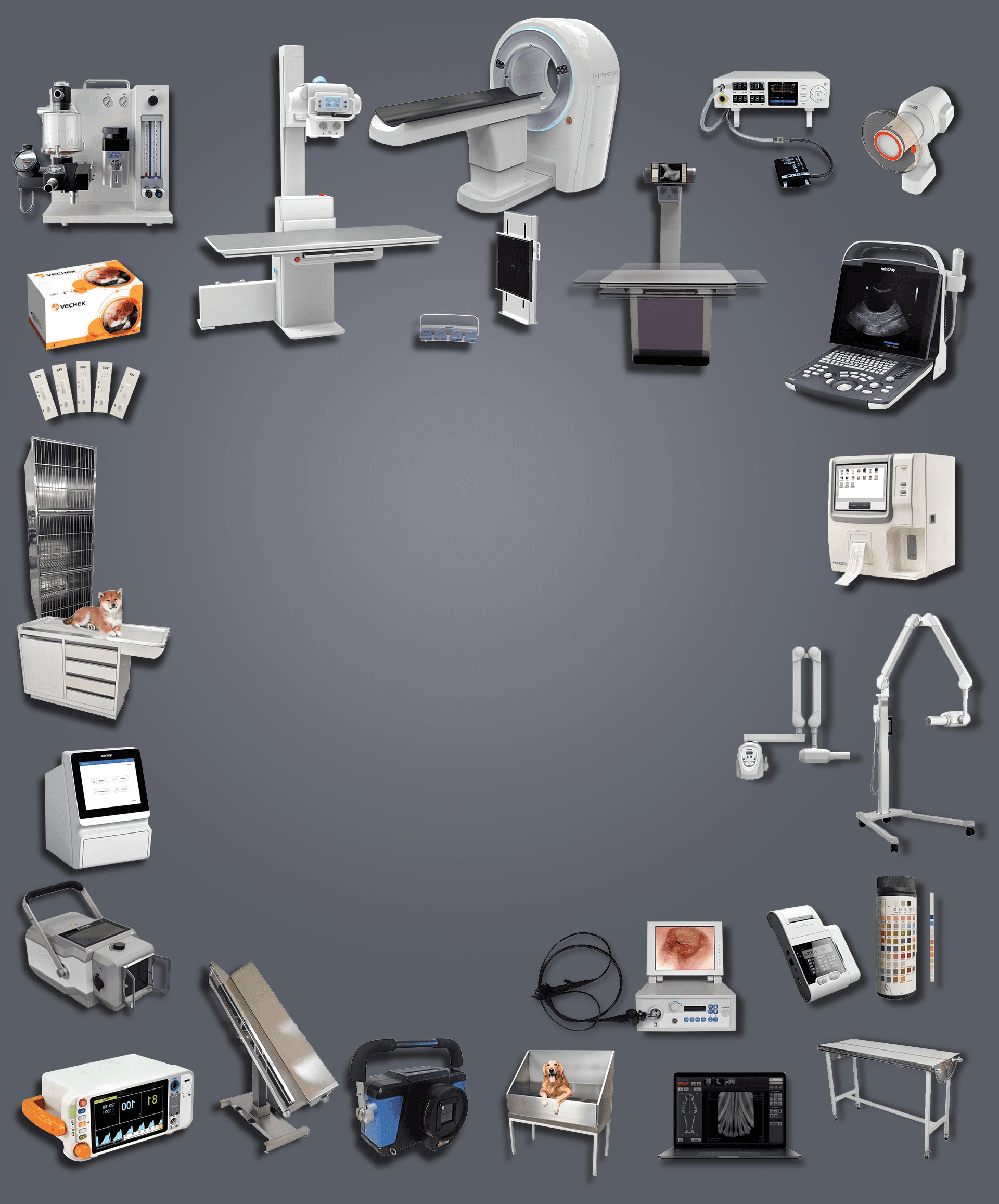 Fondo para Veterinaria